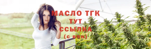 дживик Бородино