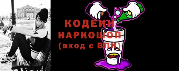 дживик Бородино