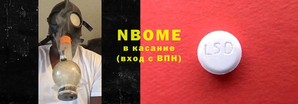 дживик Бородино