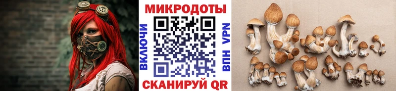 Псилоцибиновые грибы Magic Shrooms  Калтан 